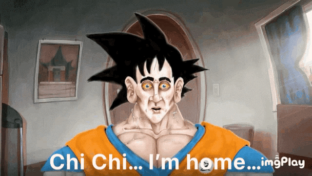 Meatcanyon Dragonballz GIF