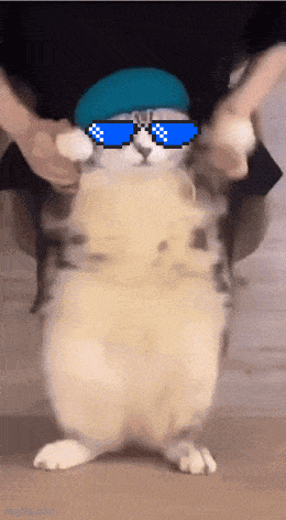 Mecat GIF