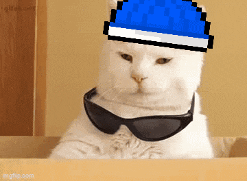 Mecat GIF