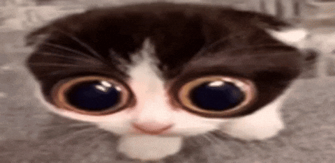 Medardra Stantwt GIF