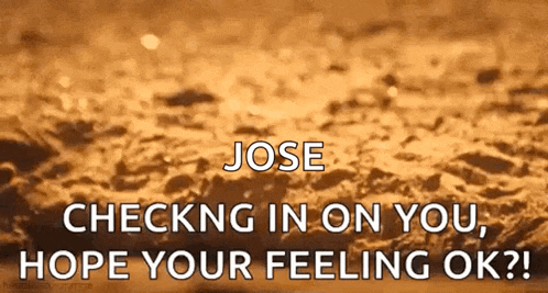 Meerkat Popup GIF