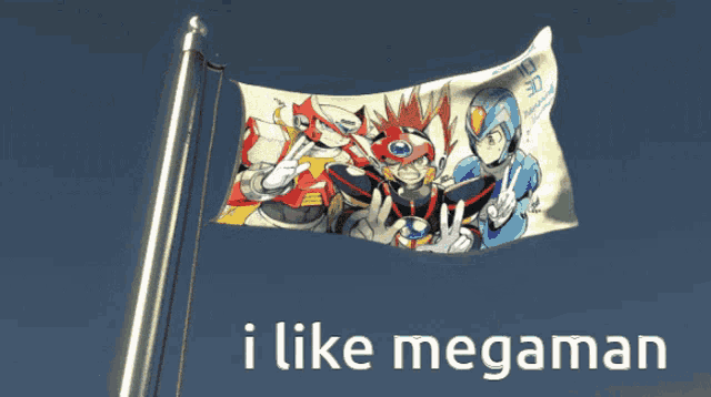 Mega Man X Megaman Zero GIF