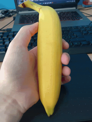 Mel Banana GIF. This 373 x 498 animated GIF is part of our rihanna banana collection. Related themes include banana. Created by harashowo. View the original…