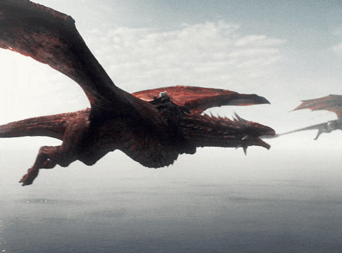 Meleys Fly GIF