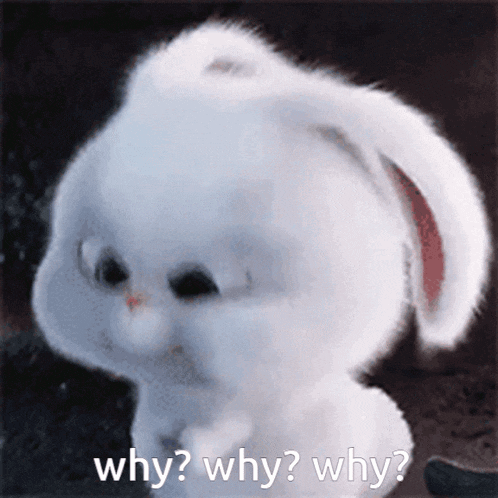 Meliwhy GIF