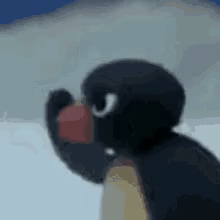 Melynnologist Pingu GIF