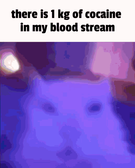 Meme Cat GIF