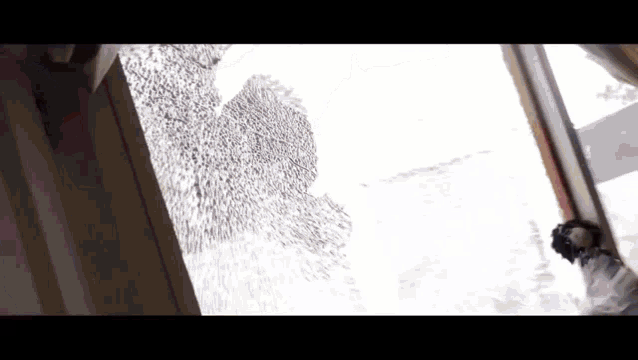 Meme Fbi GIF