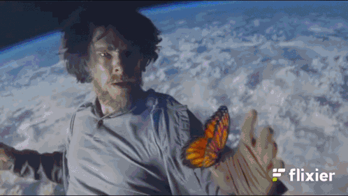 Meme Flying GIF