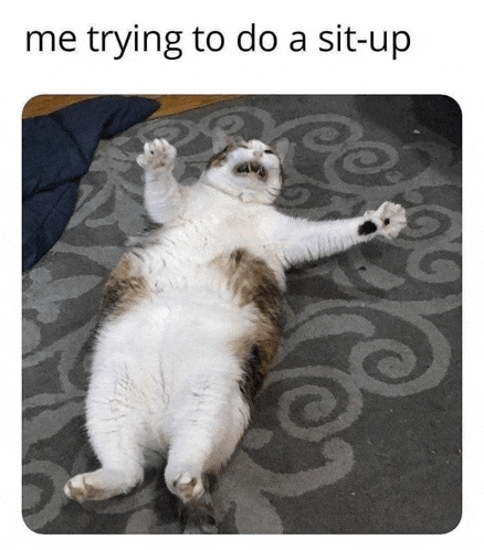 Meme Funny Meme
