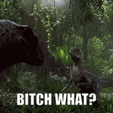 Meme Gif GIF