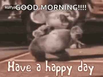 Meme Goodmorning GIF