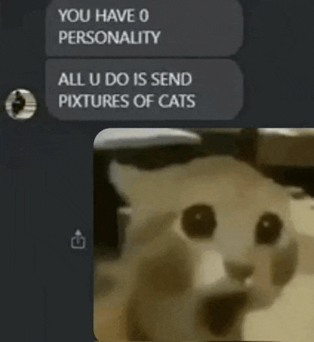Meme Kitty Meme Meme