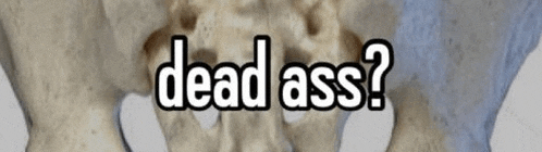 Meme Meme