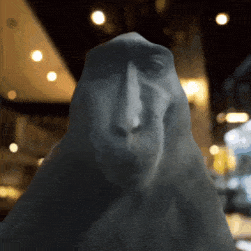 Meme Memes GIF