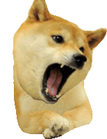 Meme Mene Kya Kiya Sticker