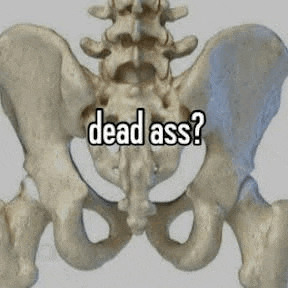 Meme Skeleton Meme