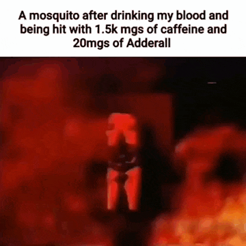 Meme GIF