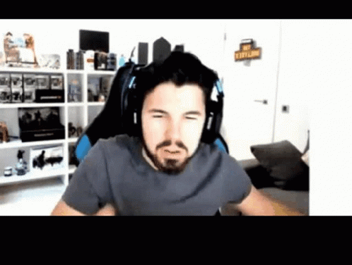 Meme Willyrex GIF