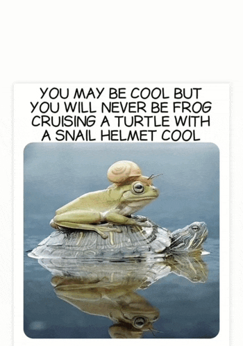 Memes Funny Memes Meme