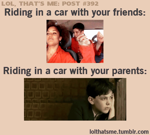 Memes Tumblr GIF. This 498 x 449 animated GIF is part of our gracias por su atencion tumblr collection. Related themes include car, funny, tumblr. Created…