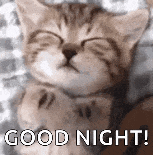 Meo GIF