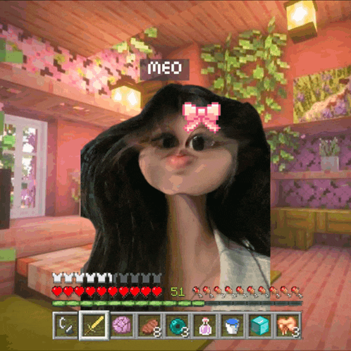 Meo Meme
