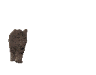 Meow Cat Sticker