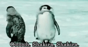 Meow GIF. This 294 x 158 animated GIF is part of our shakira belly dancing collection. Related themes include dancing, penguin. View the original animation…