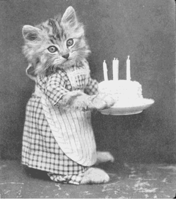 Meow Meow Meow Meow To You Lo La Lion Ess Meme