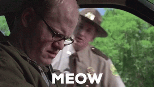 Meow Super GIF