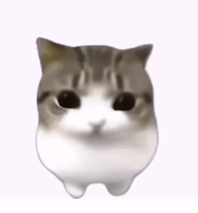 Meowpin Cat Blush GIF