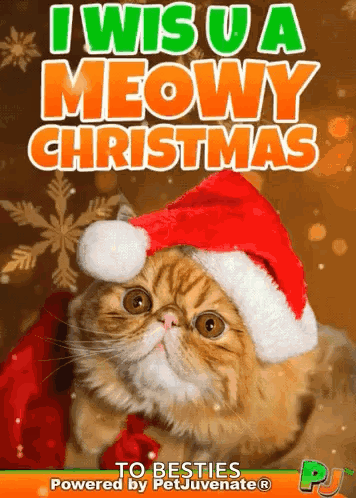 Meowy Christmas Meow Wish Cat Kitty Pj Kitty Christmas Pj Meowy GIF