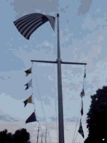 Merica American Flag GIF