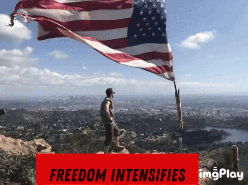 Merica Freedom GIF. This 498 x 373 animated GIF is part of our freedom intensifies collection. Related themes include freedom. Created by Rhettro11S. View…