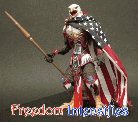 Merica GIF