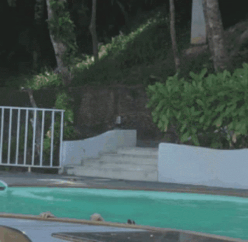 Mermaid Merman GIF