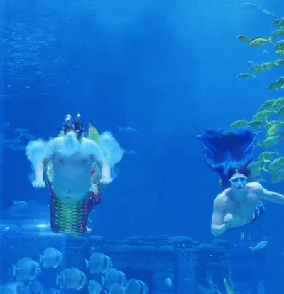 Merman GIF