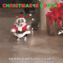 Merry Christmas Christmas Eve GIF