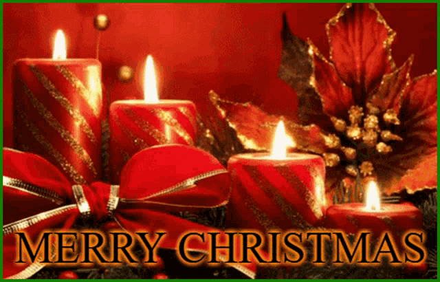 Merry Christmas Christmas GIF