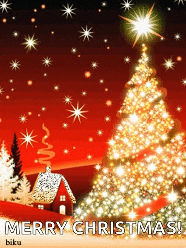 Merry Christmas Christmas GIF