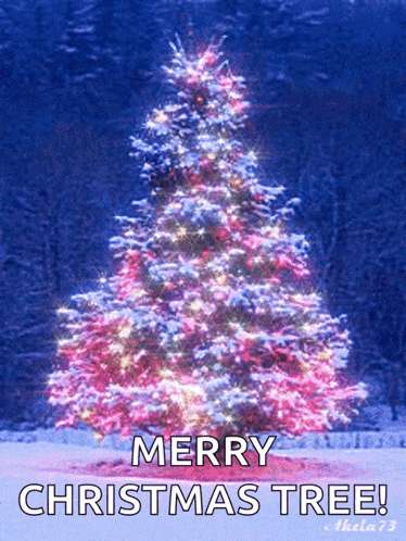 Merry Christmas Christmas Tree GIF