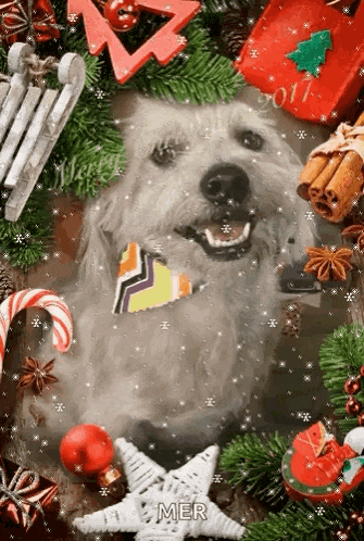 Merry Christmas Dog GIF