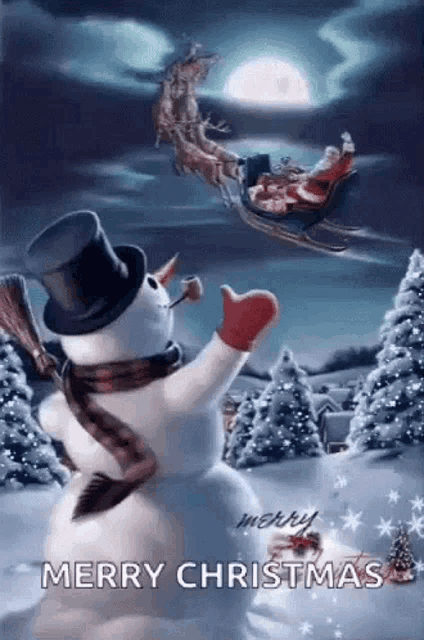 Merry Christmas GIF