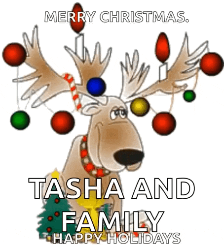 Merry Christmas GIF