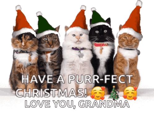 Merry Christmas Funny GIF