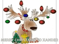 Merry Christmas Funny GIF