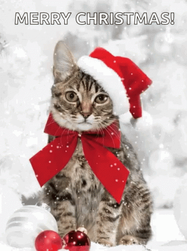 Merry Christmas GIF