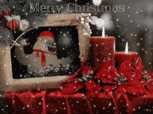 Merry Christmas Greetings GIF. This 498 x 372 animated GIF is part of our guten morgen zweiter advent collection. Related themes include gif, holiday, merry…