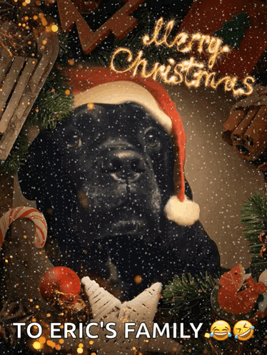 Merry Christmas Happy Holidays GIF. This 374 x 498 animated GIF is part of our merry christmas ya filthy animal collection. Related themes include merry…